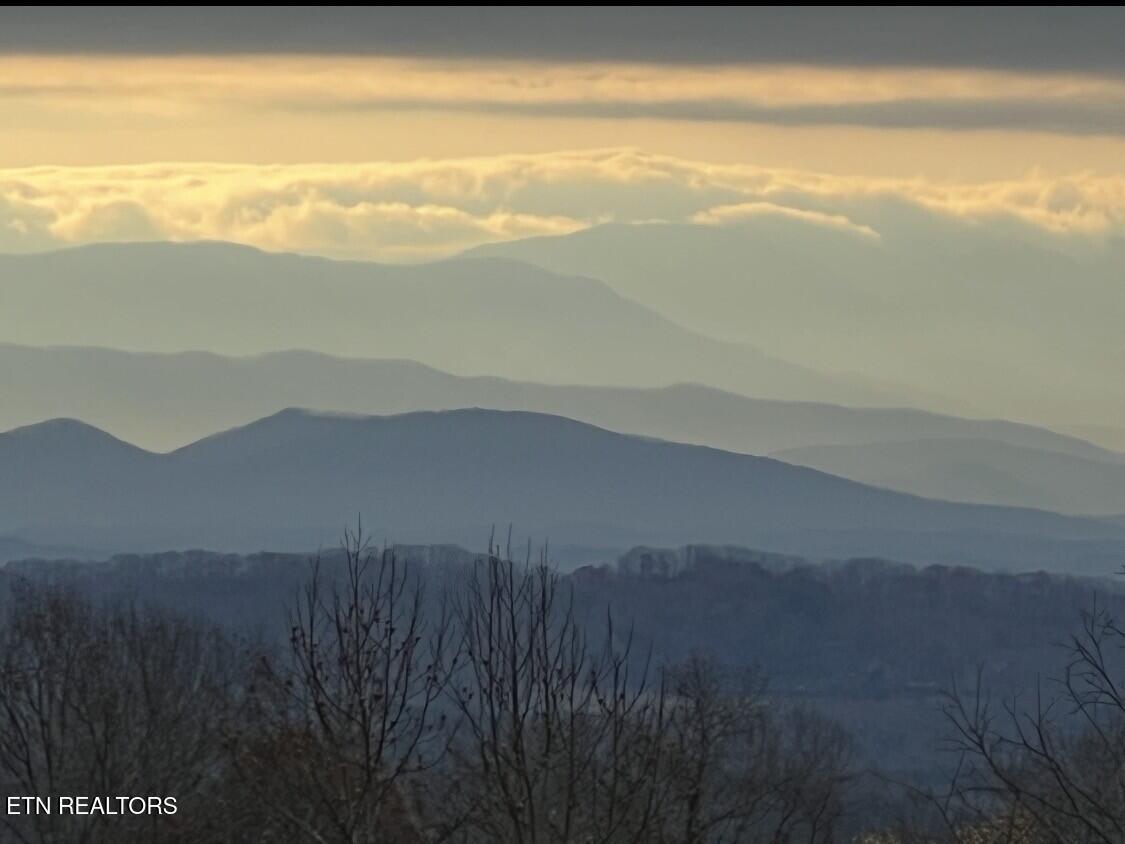 Image 4: Mountain View
