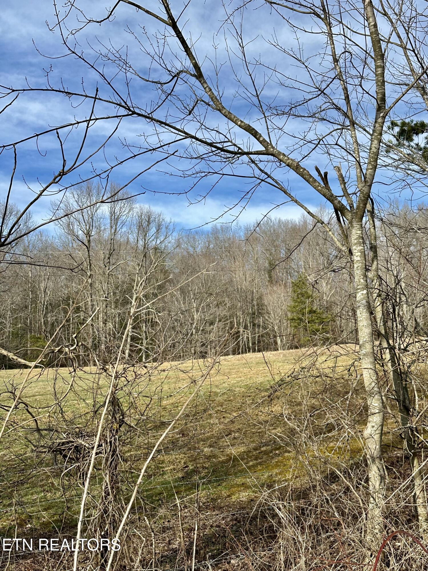 Image 3: IMG_8475