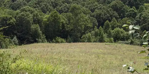 Iron Works Rd