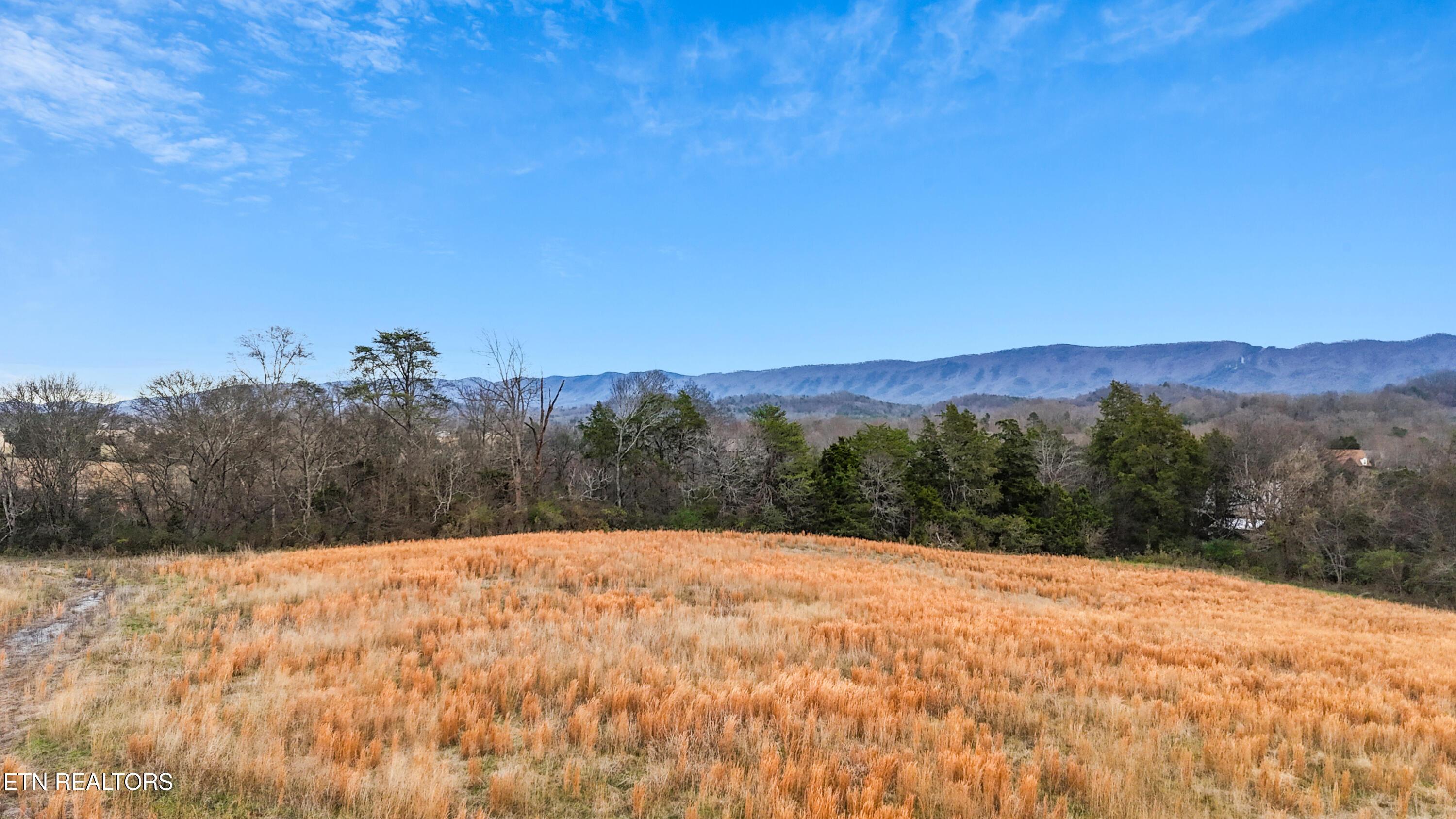 Image 4: dji_fly_20251222_162504_0427_17665488669