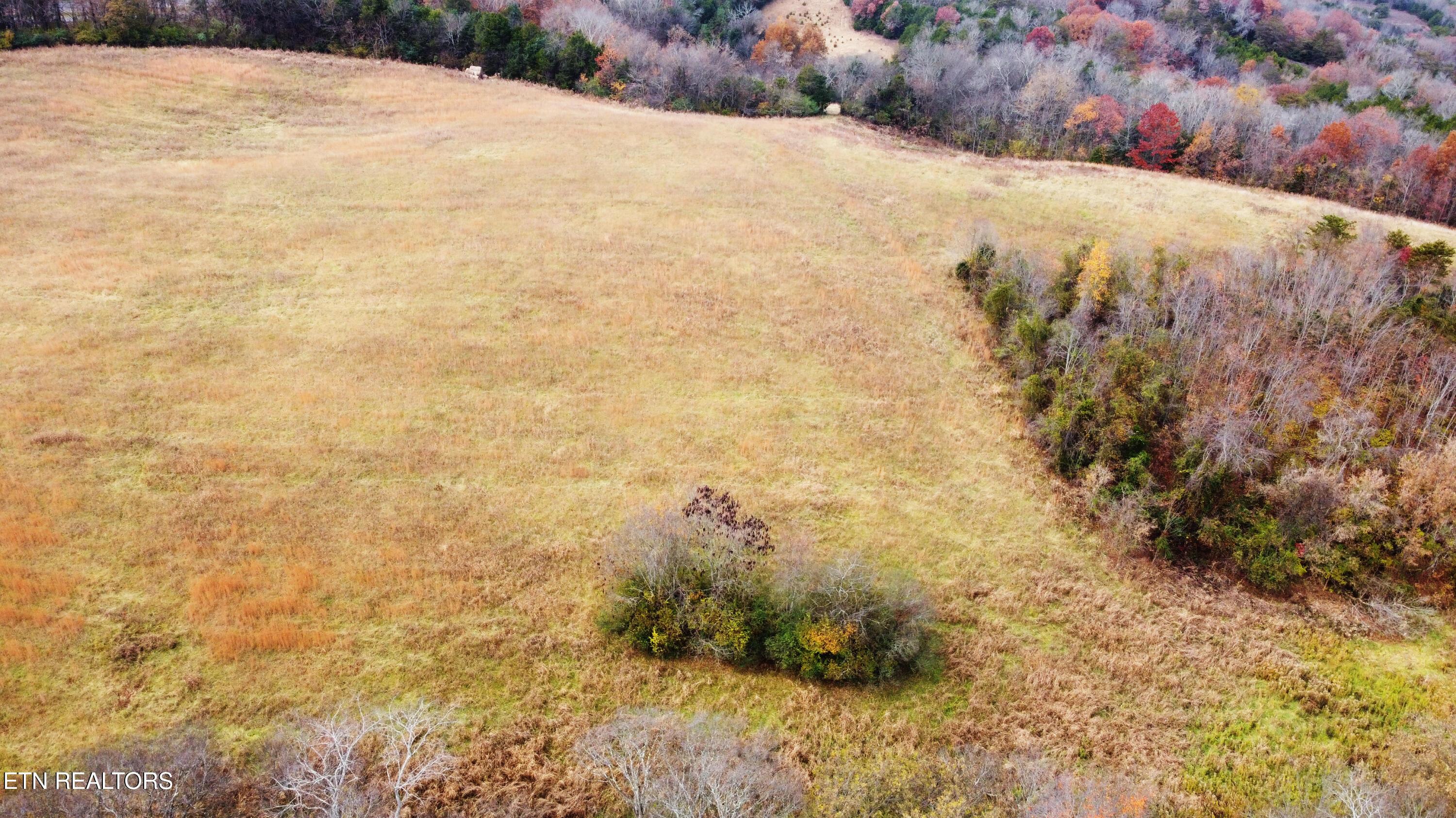 Image 2: drone sulphur springs (5)