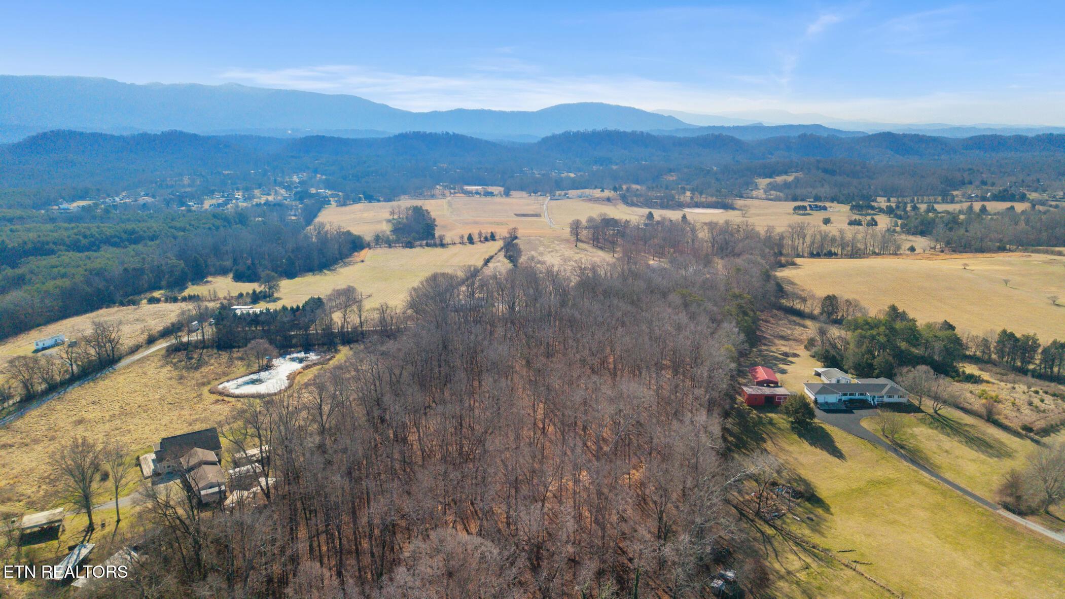 Image 2: dji_20260206110223_0020_d