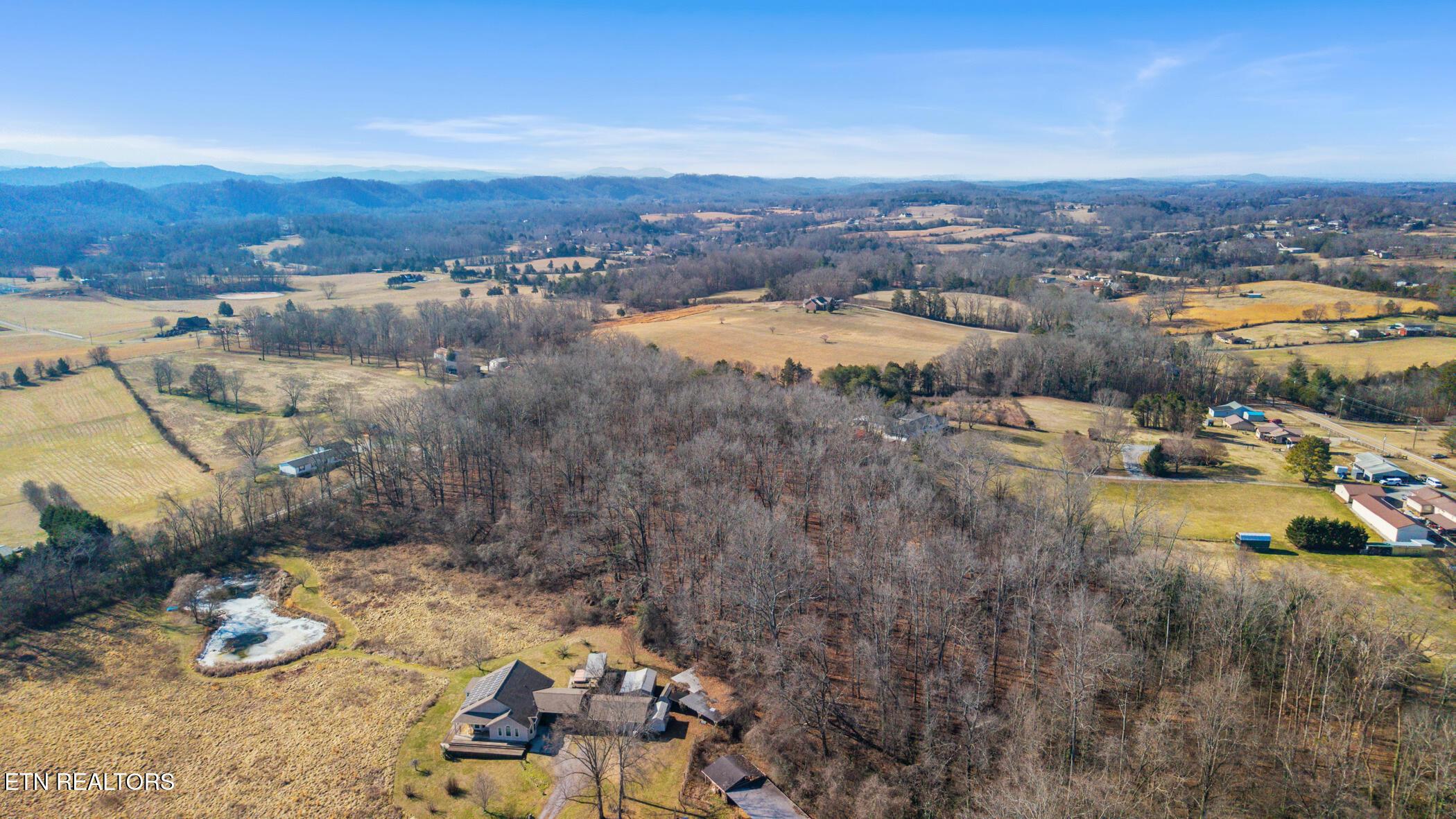 Image 3: dji_20260206110242_0022_d