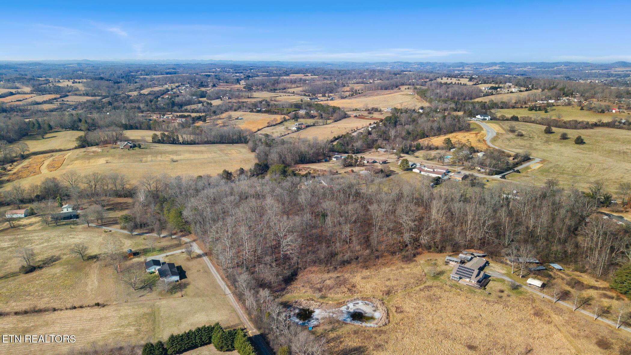 Image 4: dji_20260206110316_0024_d