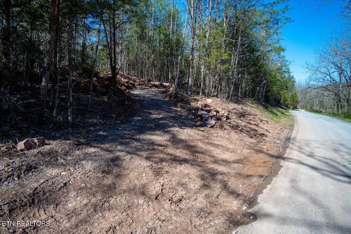 Image 3: Driveway from road.