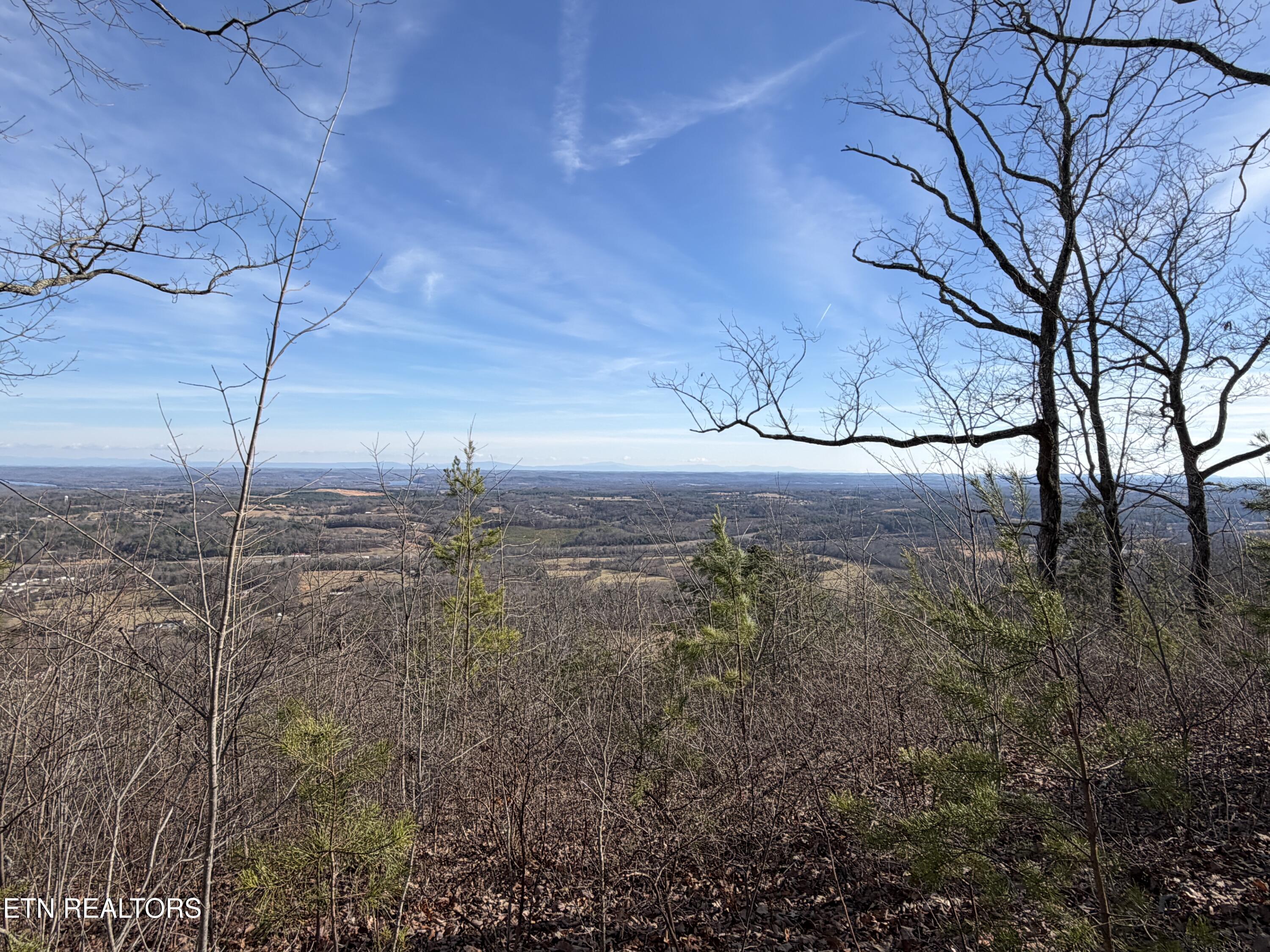 Image 3: IMG_0327