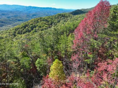 Lot #32 Chilhowee Tr