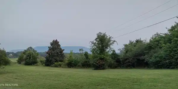 Image 3: view to the front