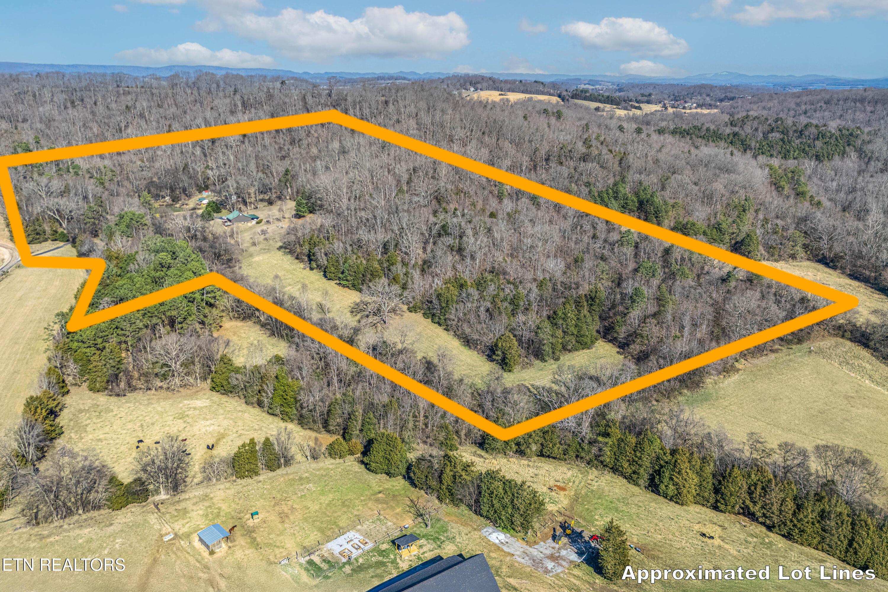 Image 3: 005-Lot Line A5