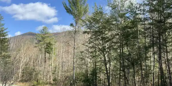 Cougar Trail 3ac