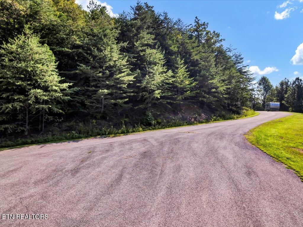 Image 2: Lot 508 Hidden Springs Rd - 2