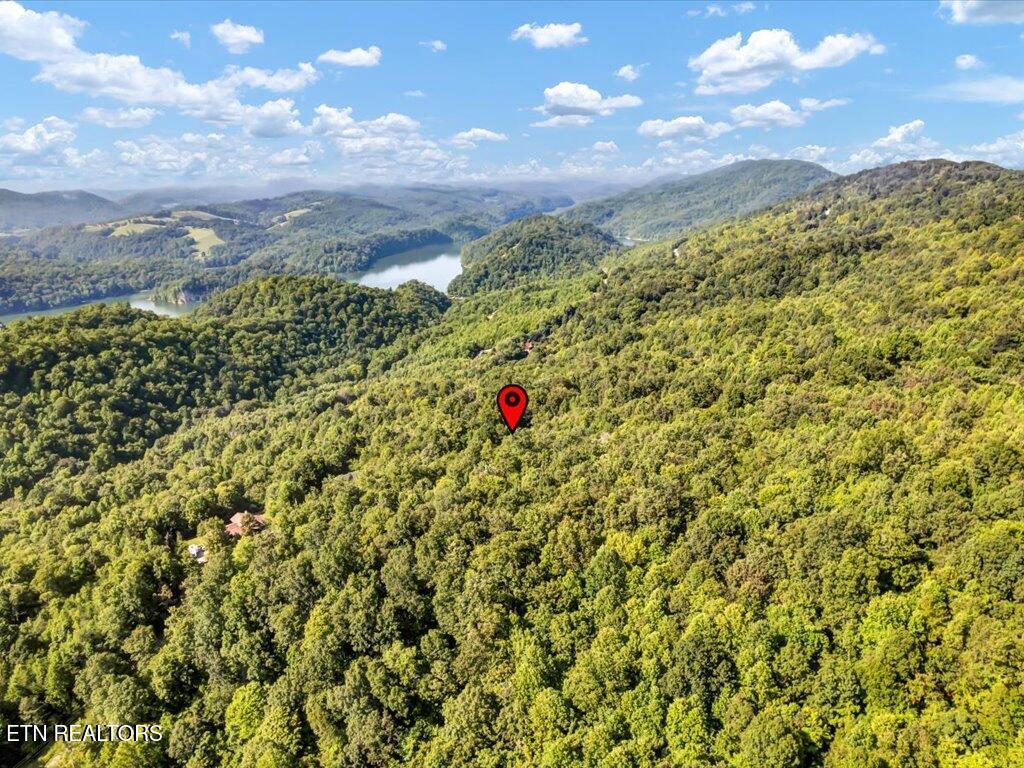 Image 3: Lot 508 Hidden Springs Rd - 3