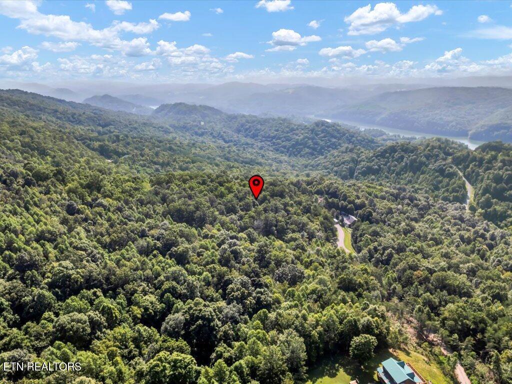 Image 4: Lot 508 Hidden Springs Rd - 4