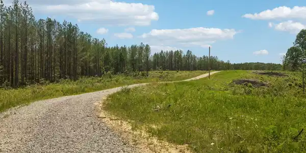 Image 2: 3-1859 Nydeck Trail - Lot 2 - 003