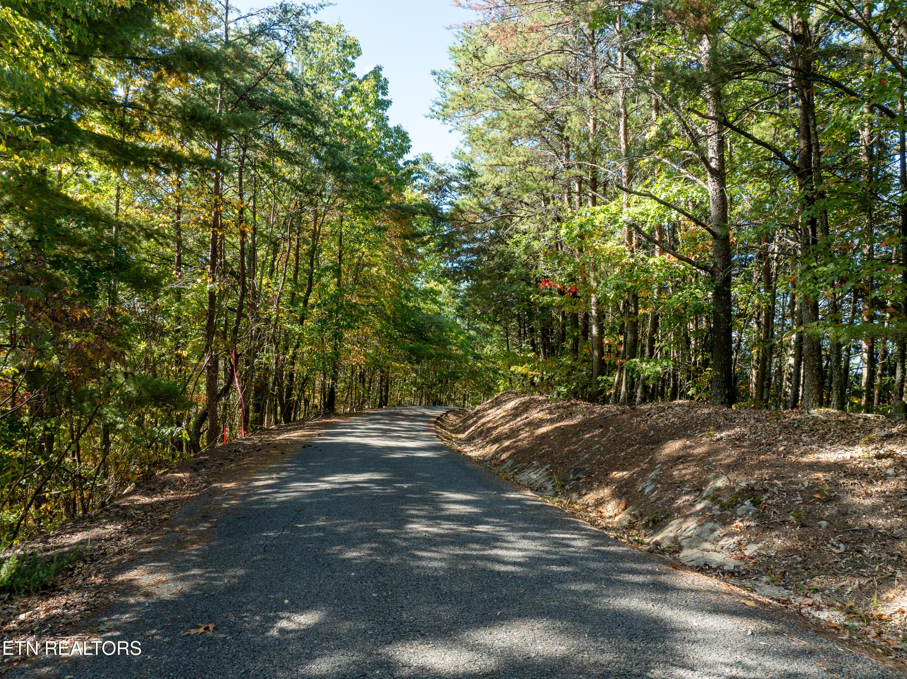 Image 3: DJI_0454