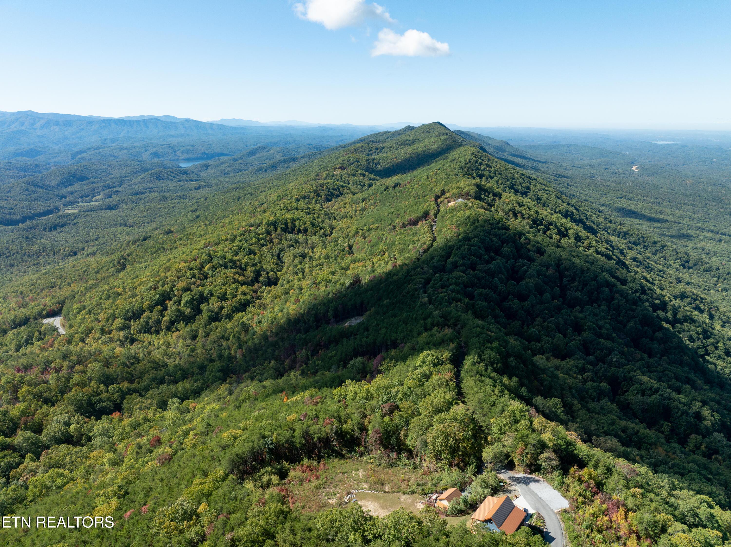 Image 4: DJI_0473