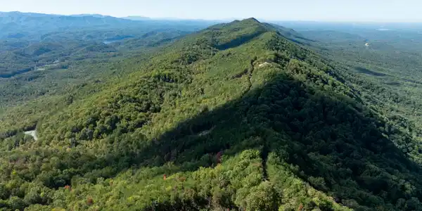 Image 4: DJI_0473