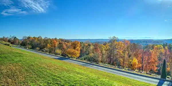 Image 4: IMG_0266