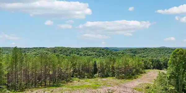 Image 4: 19-1859 Nydeck Trail - Lot 2 - 019