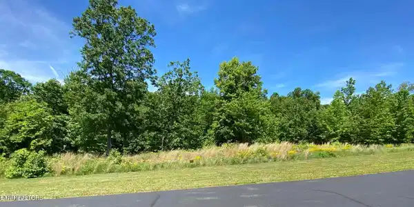 Water View Drive