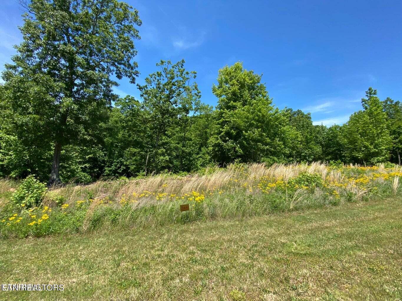 Image 2: Lot 360 (2)