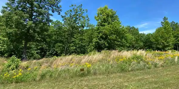 Image 2: Lot 360 (2)