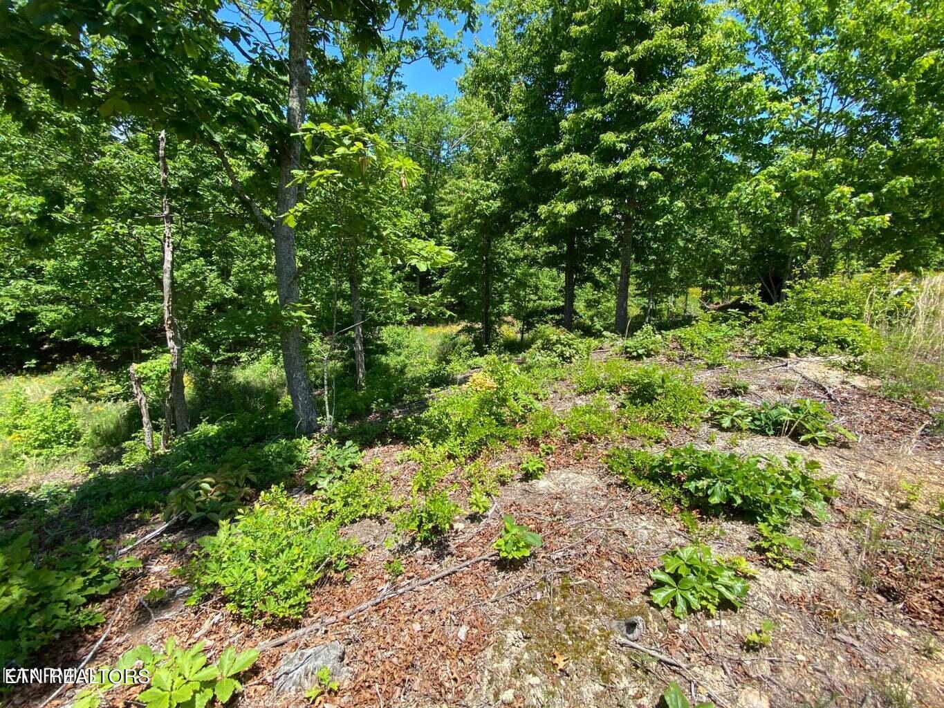 Image 3: Lot 360 (3)
