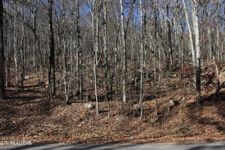 Scenic Dr, Lot 20
