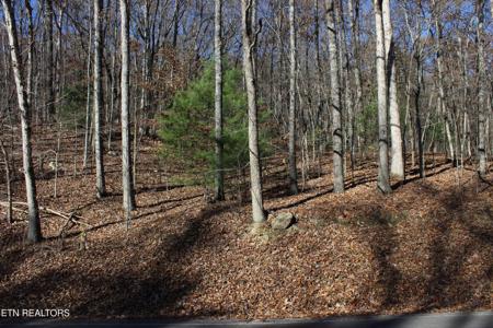 Scenic Dr, Lot 21
