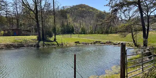275 Republican Hill Rd