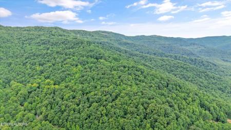 Mountain Rd