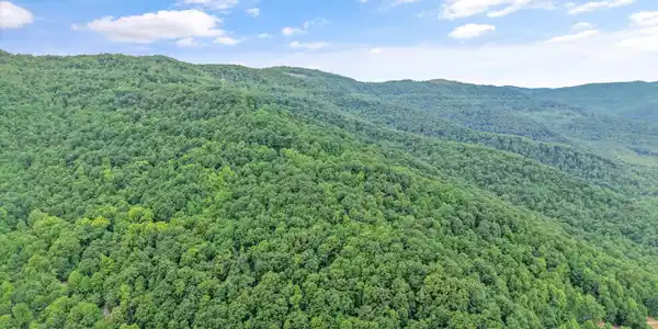 Mountain Rd