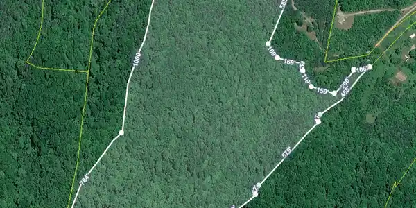 51 acres off Rocky Branch Rd