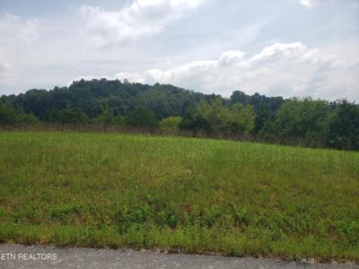 Larimar Lane