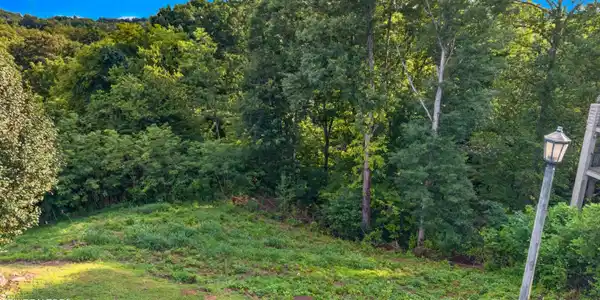 Image 2: 002-MaggieMackLane-Sevierville-TN-37862-