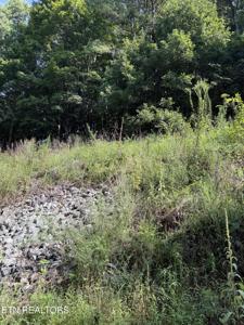 115 Hughes Hollow Rd