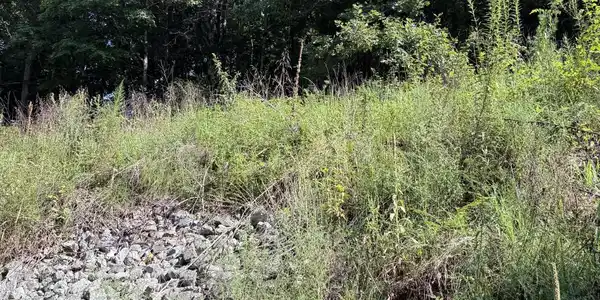 115 Hughes Hollow Rd