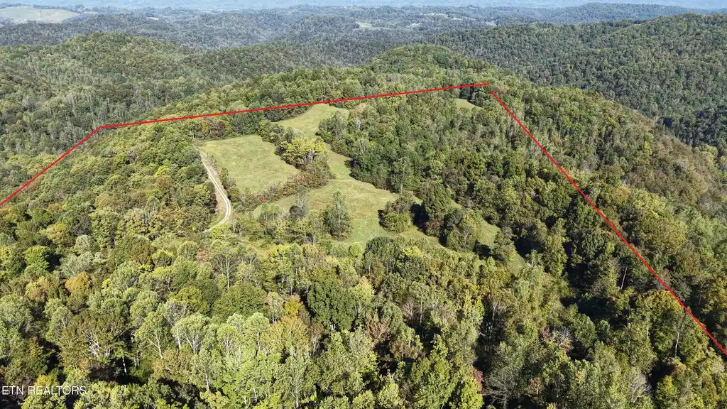 Image 1: Marked Boundary North