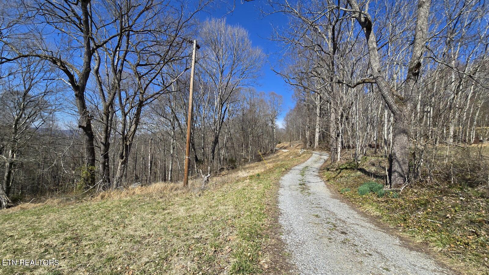 Image 4: Entrance Rd