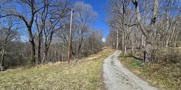 Image 4: Entrance Rd