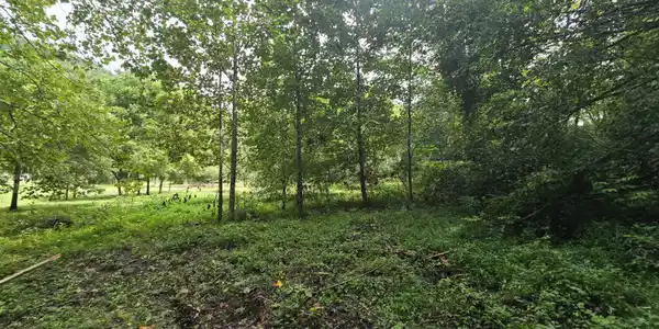 Image 4: 1000036496
