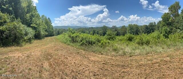 Image 4: Harriman_Pic7