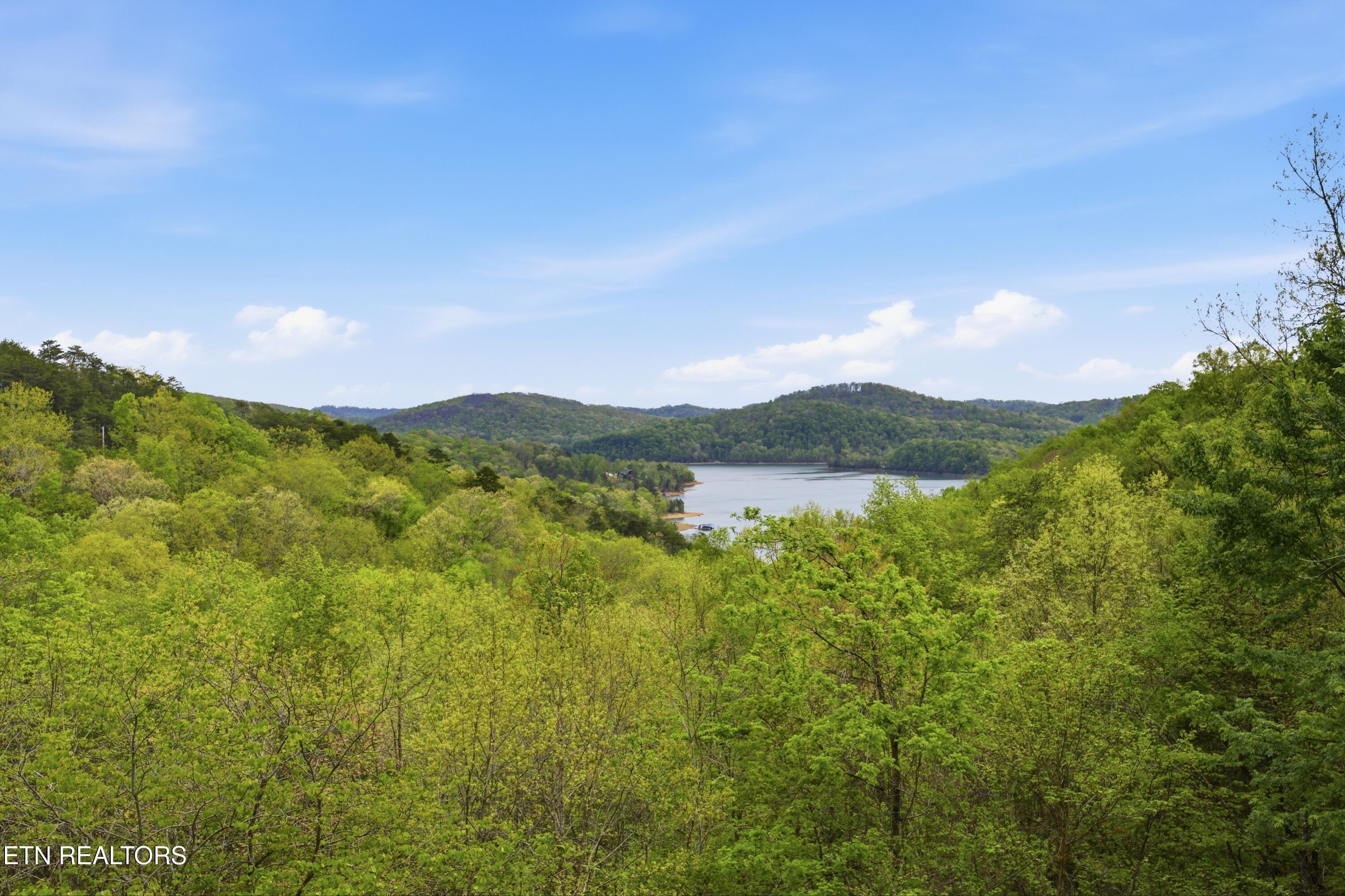 Image 3: 16.2 Acres