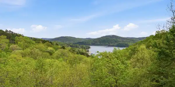 Image 3: 16.2 Acres