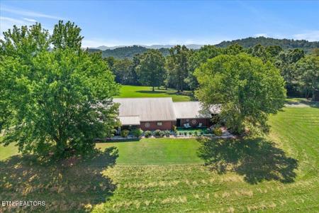 910 Reagan Valley Rd