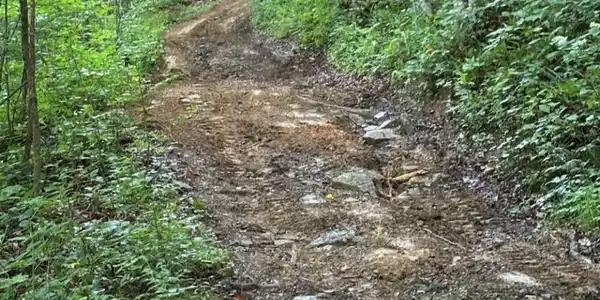 Image 4: access rd 1