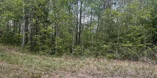 Image 2: Potential House Site