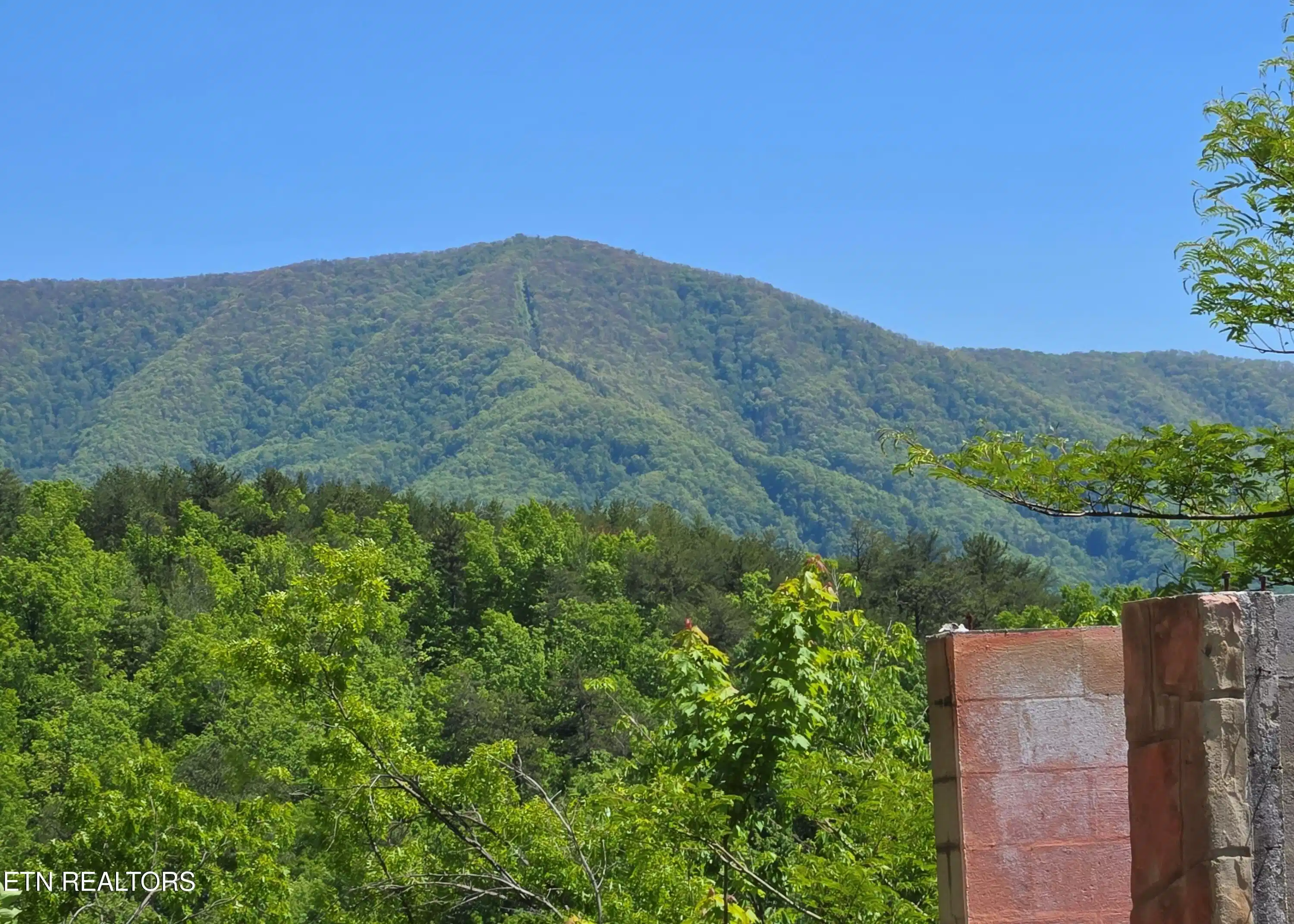 Image 1: Mountain View 1