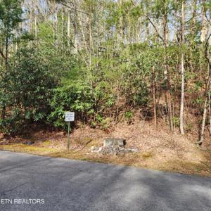 116 Greystone Way