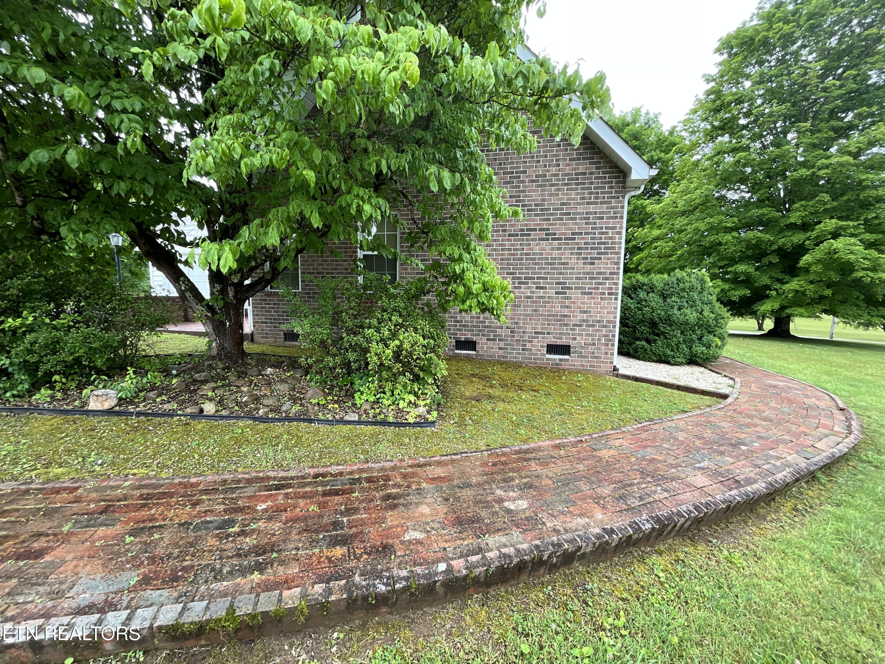 Image 3: IMG_0075 (1)